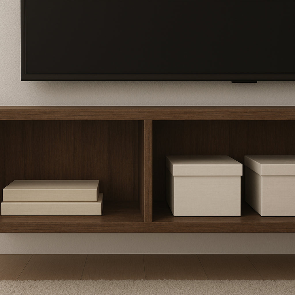 Basic TV Unit