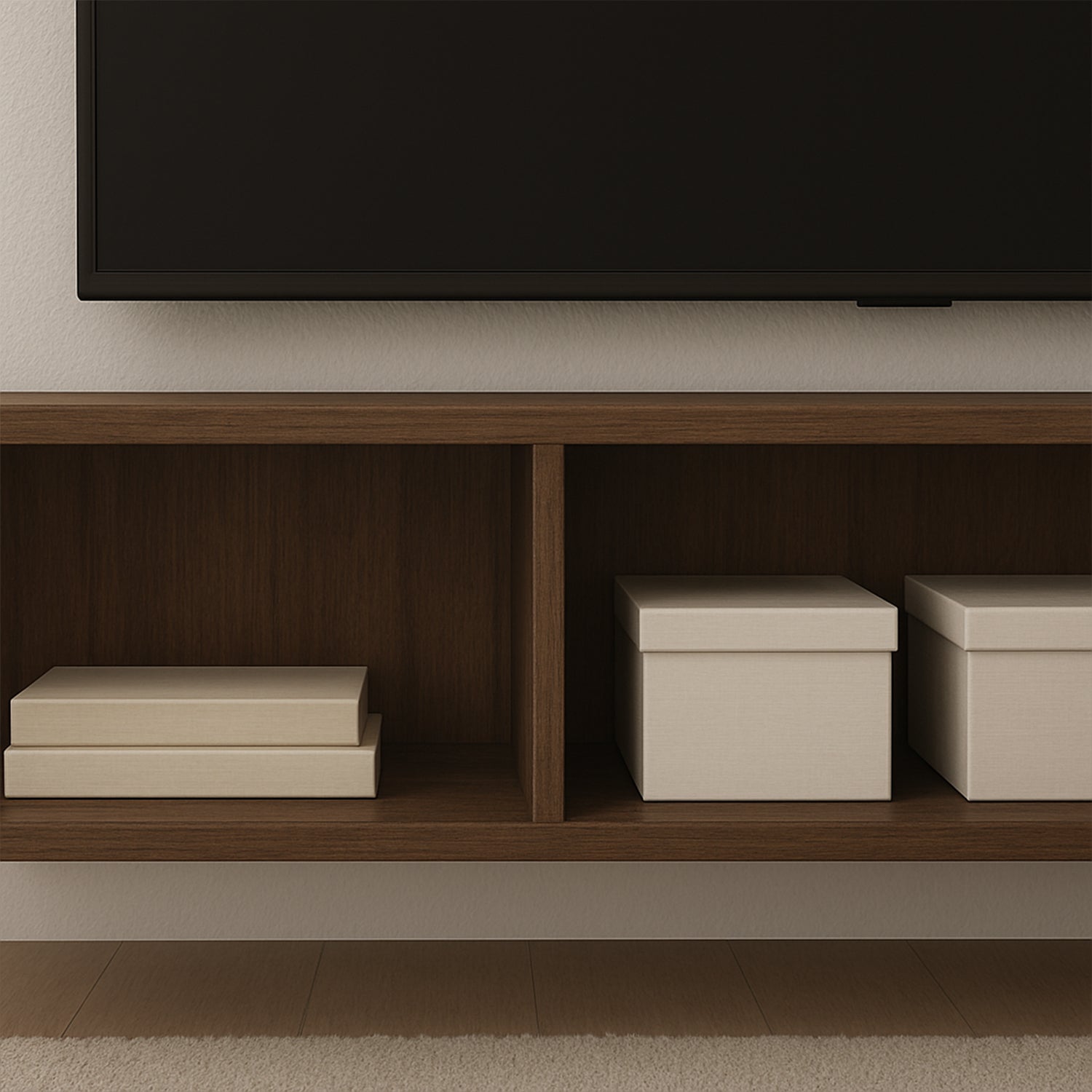 Basic TV Unit