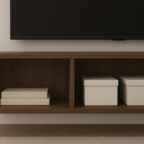 Basic TV Unit
